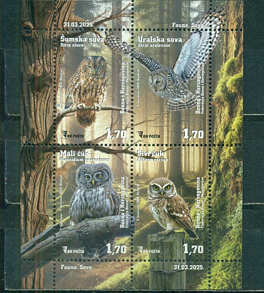 Босния и Герцеговина Хорватская, 2025, Совы. блок